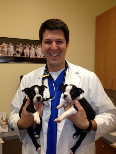 Cary Grove Animal Hospital Dr. Fritz J. Trybus DVM Cary, IL Cary Grove Animal Hospital Dr. Fritz J. Trybus DVM Cary, IL